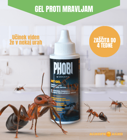 Phobi ant gel ze pripravljeno sredstvo proti mravljam